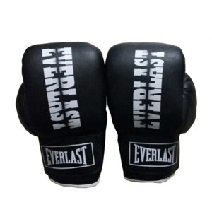 Găng tay tập boxing Everlast L2