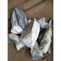 Găng Tay Tập Tạ Conaco A1C  Da Viền Đỏ