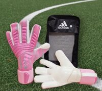 Găng Tay Thủ Môn Adidas Predator Pro Hybrid