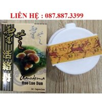 Ganodema Huo Luo Dan (Linh Chi Hoạt Lạc Đơn)