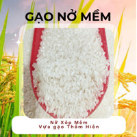 Gạo 504 Nở Mềm - Gạo Nở Xốp Mềm Cơm -  5KG - Gạo Thắm Hiền