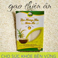 GẠO HOÀNG KIM THIÊN ÂN - TINH TÚY ĐẤT TRỜI