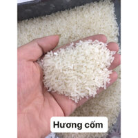 gạo Hương Cốm (hải hậu nam định túi 5kg)