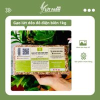 Gạo Lứt Dẻo Điện Biên Lứt Farm