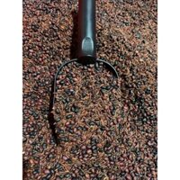 gạo lứt huyết rồng