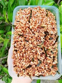 Gạo lứt sấy giòn