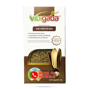 Gạo mầm tỏi đen Vibigaba