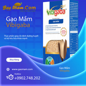 Gạo mầm Vibigaba hộp 1kg