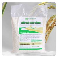 Gạo Nếp Cái Hoa Vàng Chất Việt