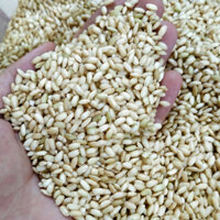 Gạo Nếp Cái Hoa Vàng Xay- Gạo Nếp Lứt