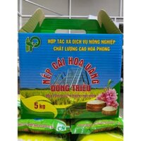 Gạo nếp hoa vàng Đông Triều - Hộp 5 kg