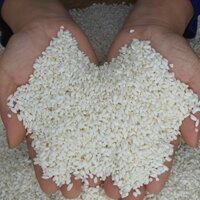 Gạo Nếp Nương Điện Biên Loại 1 Hảo Hạng, 5kg - Có tặng quà kèm theo