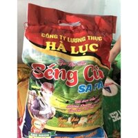 Gạo Séng Cù Điện Biên túi 10kg