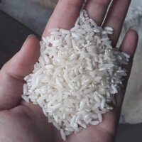 Gạo séng cù điện biên