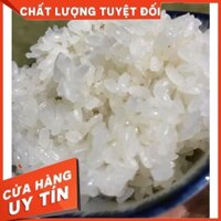GẠO SÉNG CÙ HẠT TRÒN TRỒNG TRÊN NƯƠNG 8 THÁNG