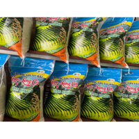 Gạo Séng Cù Mường Khương.
