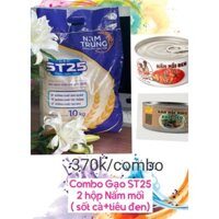 GẠO ST25 và Nấm Mối Sốt Cà