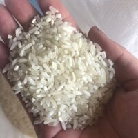 Gạo tẻ sán cù tú lệ bán từ 5kg