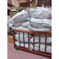 GẠO VINASEED