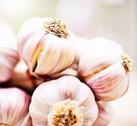 Garlic, chemical free – 50 gr