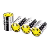 gạt mưa heyner Nắp van lốp ô tô thay đổi nắp van xe máy nắp van hợp kim nhôm lõi nắp van áp suất lốp phổ thông ca pô cần gạt nước ô tô