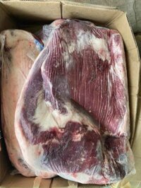 Gầu bò úc kilcoy