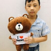 Gấu bông brown 35 cm