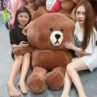 Gấu Bông Brown Màu Socola Size 1m5 ( tặng áo cho Gấu )