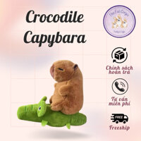 Gấu bông Capybara ngồi cá sấu kéo rút bộ trưởng bộ ngoại giao