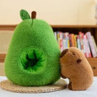 Gấu bông capybara trong quả bơ model mới nhất, Gấu bông capybara quả bơ thiết kế sáng tạo đẹp mắt và sang trọng
