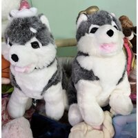 Gấu bông chó Alaska giống thật