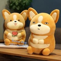 Gấu bông Chó Corgi 35-45-60cm Thêu hoa Buenoo shop