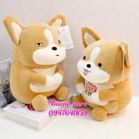 Gấu bông chó Corgi 35-50-60cm Thêu hoa Bueno store