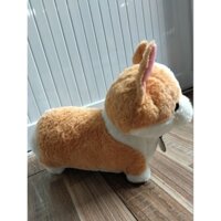 Gấu Bông Chó Corgi