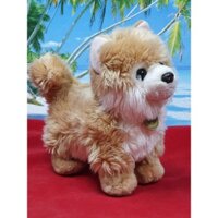 Gấu bông chó mắt thủy tinh