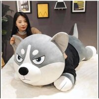 Gấu Bông Chó, Mèo Husky 1m2, Gấu Nhồi Bông Gòn 100% Mềm Mịn [Kèm ảnh thật]