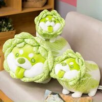 Gấu bông chó Shiba Cải Thảo Vegetable Fairy siêu dễ thương kích thước 30-50-60cm Giá Rẻ