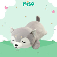 Gấu bông chó shiba nằm ngủ Miso gối ôm thú nhồi bông shiba mềm mịn dễ thương