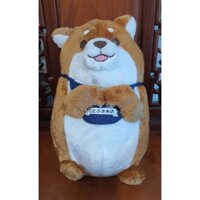 Gấu bông chó shiba Nhật 40cm