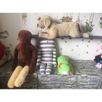 Gấu bông chó xám 80cm