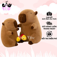 Gấu bông chuột Capybara siêu mềm thú nhồi bông Capybara Gà con rút được siêu bộ trưởng bộ ngoại giao dáng yêu G122