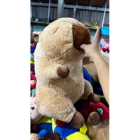 GẤU BÔNG CHUỘT NƯỚC SỐ 4 KICH THUÓT Số 3 X2 Co quà ok