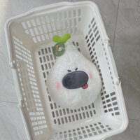 Gấu bông Củ hành mặt gấu đáng yêu