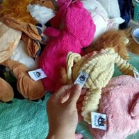 Gấu bông cua c luuu luyen