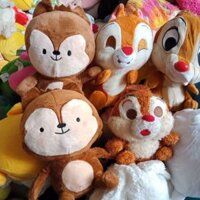 Gấu bông của nho ly
