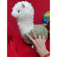 Gấu bông cừu mắt thủy tinh