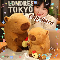 Gấu Bông Gà Con Capybara Búp Bê Sang Trọng Đồ Chơi Gối Ngủ Dễ Thương Quà Tặng Cho Bé Gái 30cm 40cm