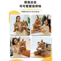Gấu Bông Gấu Nâu Sinh Nhật CAS Chất Nỉ Mịn Cao Cấp Thú Nhồi Bông