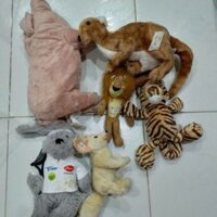 Gấu bông gia my