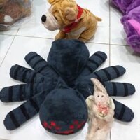 Gấu bông gia My